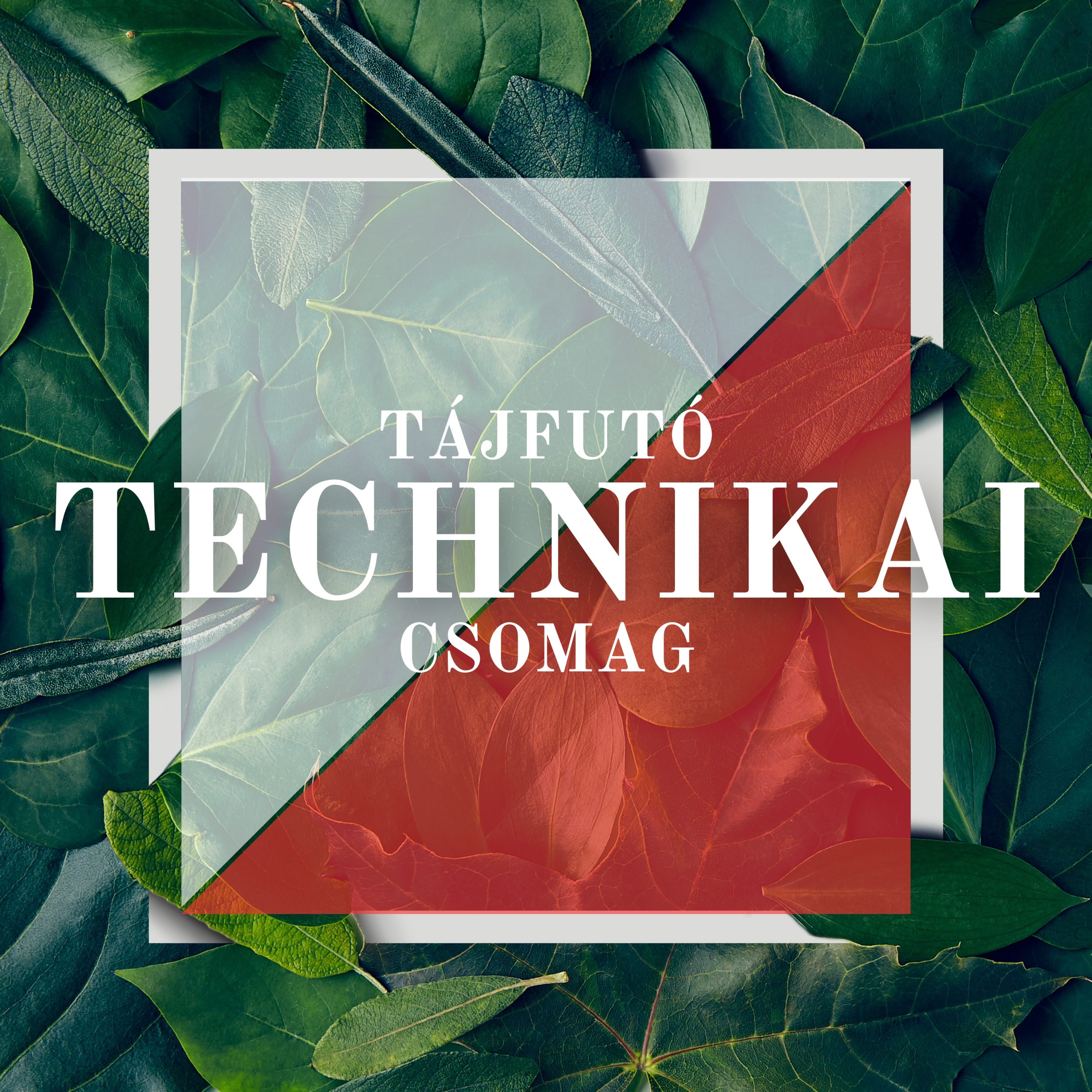 Tájfutó technikai csomag
